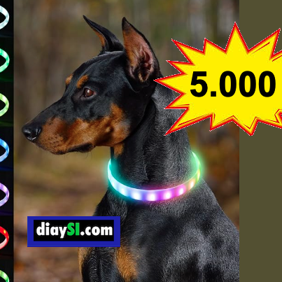 collar de luces recargable