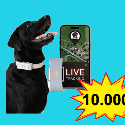 rastreador gps para mascotas