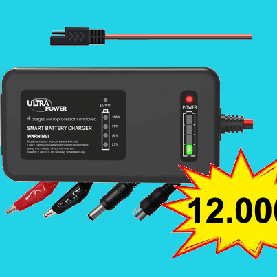 cargador de batería LiFePO4 12.8V