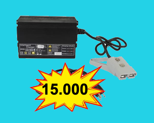 cargador de 24 voltios 15 anperios cargador de 24 voltios 15 anperios